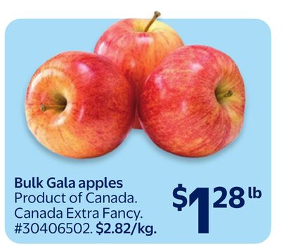 Bulk Gala apples
