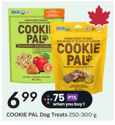 Dog Treats - Big Earn