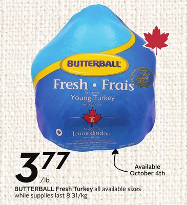 Fresh Turkey