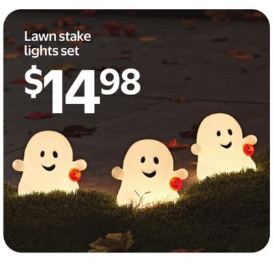 Lawn stake lights set