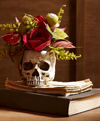 Skull arrangement