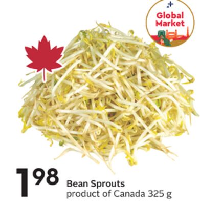 Bean Sprouts