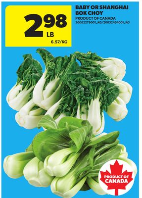 BABY OR SHANGHAI BOK CHOY