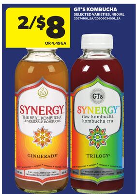 GT'S KOMBUCHA, 480 ML