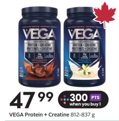 Protein + Creatine