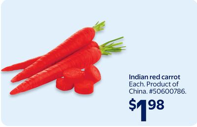 Indian red carrot