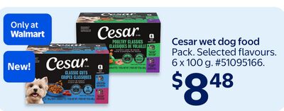 Cesar wet dog food
