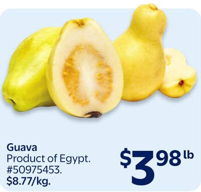 Guava