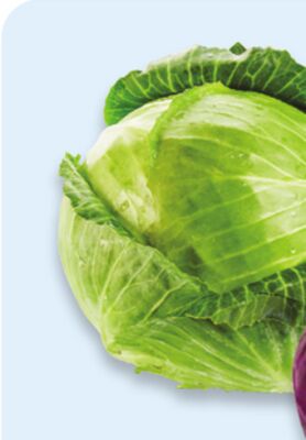 Green cabbage