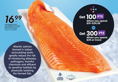 SUSTAINABLE BLUE Land-Raised Fresh Atlantic