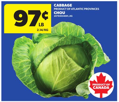 CABBAGE