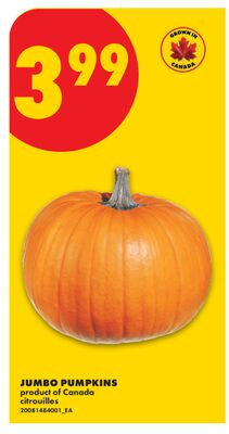JUMBO PUMPKINS
