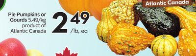 Pie Pumpkins or Gourds