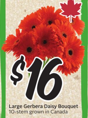 Large Gerbera Daisy Bouquet