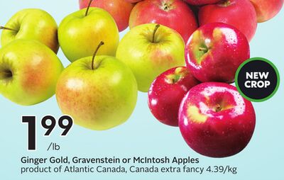 Ginger Gold, Gravenstein or McIntosh Apples