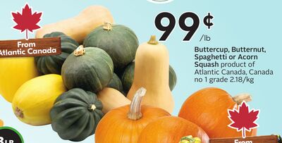 Buttercup, Butternut, Spaghetti or Acorn Squash