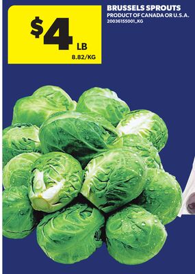 BRUSSELS SPROUTS