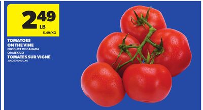 TOMATOES ON THE VINE