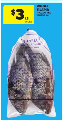 WHOLE TILAPIA, 1 KG