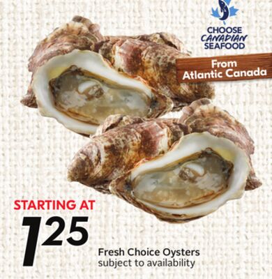 Fresh Choice Oysters