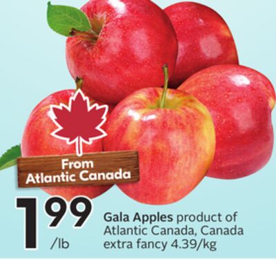 Gala Apples
