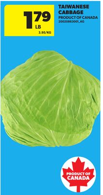 TAIWANESE CABBAGE