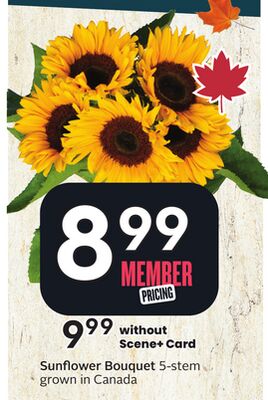 Sunflower Bouquet