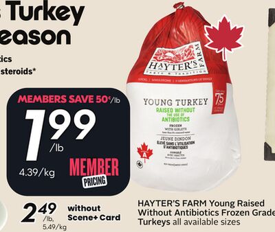 Young Raised Without Antibiotics Frozen Grade Turkeys