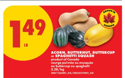 ACORN, BUTTERNUT, BUTTERCUP or SPAGHETTI SQUASH