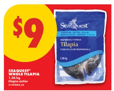 SEAQUEST® WHOLE TILAPIA,1.36 KG