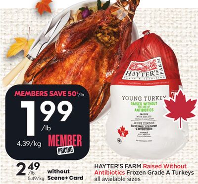 Raised Without Antibiotics Frozen Grade A Turkeys