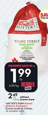 Frozen Grade A Turkeys