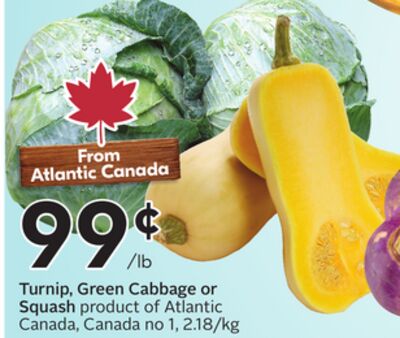 Turnip, Green Cabbage or Squash