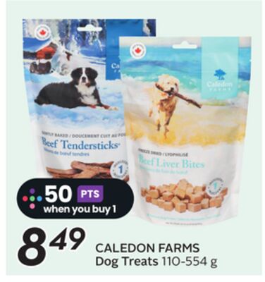 Dog Treats