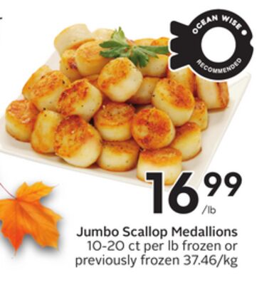 Jumbo Scallop Medallions