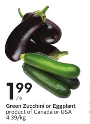 Green Zucchini or Eggplant