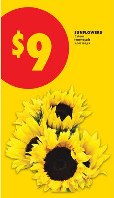 SUNFLOWERS, 5 STEM
