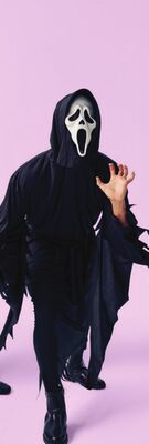 Adults' licensed costume