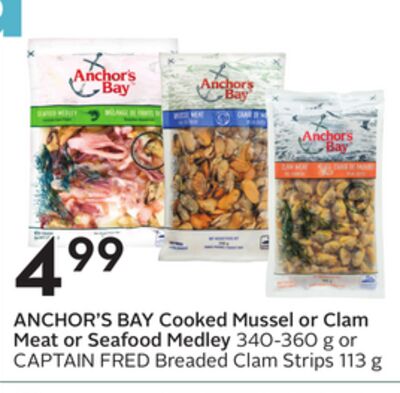 Cooked Mussel or Clam Meat or Seafood Medley