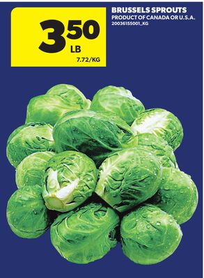 BRUSSELS SPROUTS