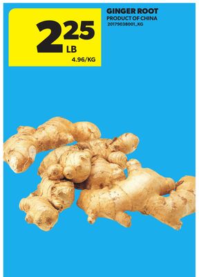 GINGER ROOT