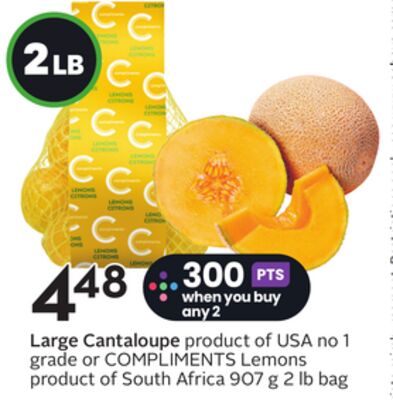 Large Cantaloupe