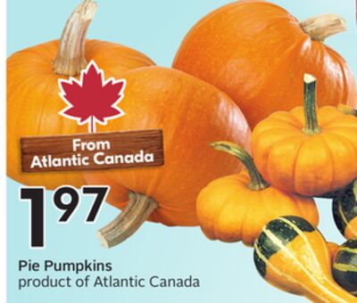 Pie Pumpkins
