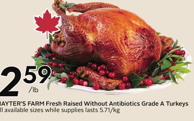 Fresh Raised Without Antibiotics Grade A Turkeys