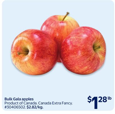 Bulk Gala apples