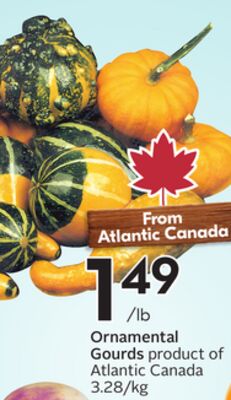 Ornamental Gourds
