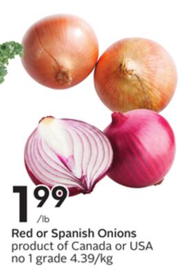 Red or Spanish Onions