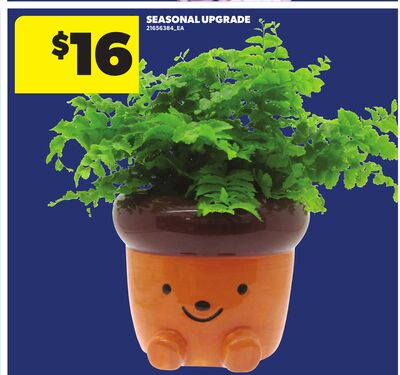 SEASONAL UPGRADE