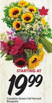 Canadian Grown Fall Harvest Bouquets