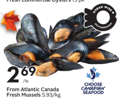 From Atlantic Canada Fresh Mussels